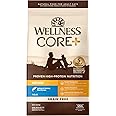 Wellness CORE+ Natural Grain-Free High Protein Adult Dry Cat Food, Salmon and Herring Meal, Indoor Recipe, 11 Pound Bag