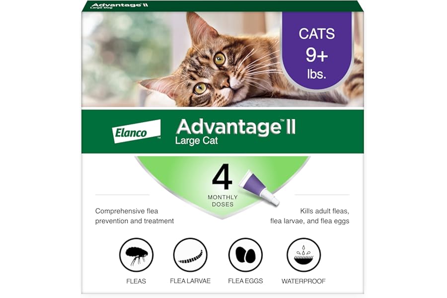 Advantage II Large Cat Vet-Recommended Flea Treatment & Prevention | Cats Over 9 lbs. | 4-Month Supply