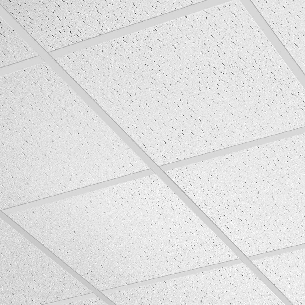 Armstrong Ceiling Tiles; 2x4 Ceiling Tiles - 12 Pcs White Ceiling Tiles ...