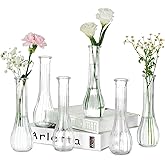 NUPTIO Glass Bud Vases Centerpiece: 6 Pcs Small Flower Vase for Wedding in Bulk - Cute Clear Ribbed Vase for Party Events Home Table Decor