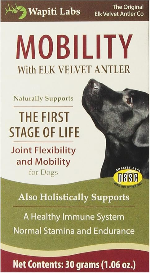 joint supplements for labradors