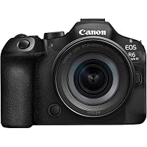 Canon EOS R6 MarkⅡ ボディ　15000ショット 71aC1sFeZCL._AC_UL210_SR210,