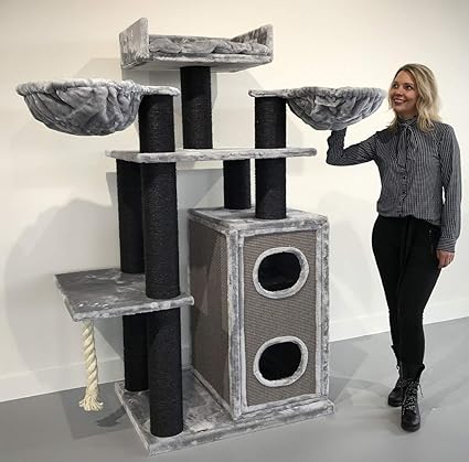 Arbre A Chat Maine Coon Allemagne Get Images