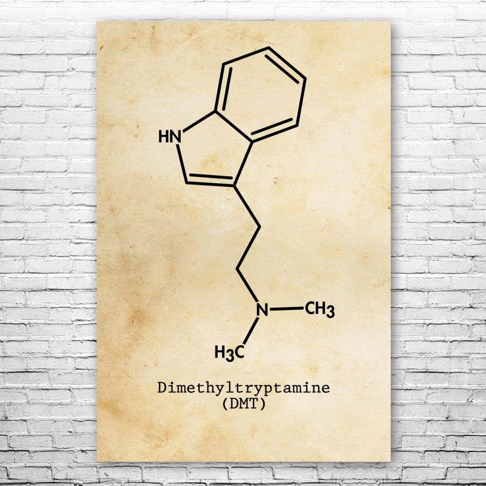 Amazon Com Patent Earth Dmt Molecule Poster Print Dmt Art Print Hippie Gift Stoner Gift Head Shop Wall Art Ayahuasca Art Shaman Wall Art Posters Prints