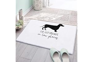 DIFNARY Bathroom Rugs Pet Dachshund Silhouette I've Got Friend in Low Places Indoor Doormat Bath Rugs Non Slip, Washable Cover Floor Rug Absorbent Carpets Floor Mat Home Decor for Kitchen (16x24)