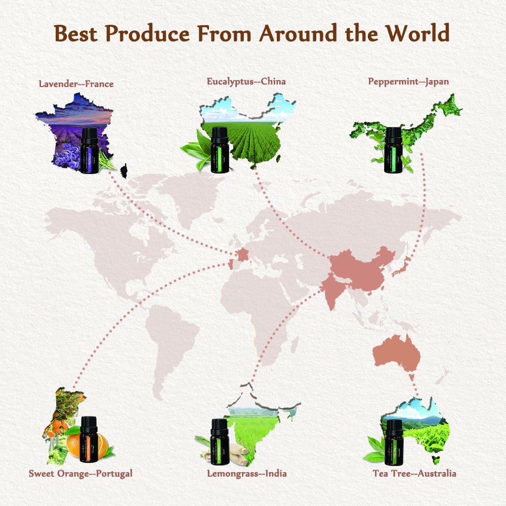 Anjou Essential Oils Set Pure Aromatherapy Oils Basic Sampler Kit, 6 / 10 ml (Lavender, Tea Tree, Eucalyptus, Lemongrass, Orange, Peppermint), Therapeutic grade