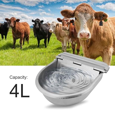 Automatic Feeder Horses Goats Sheep Cattle Stainless Steel