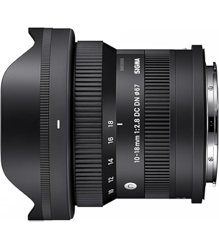 Amazon.com : 10-18mm F2.8 DC DN for L-Mount : Electronics