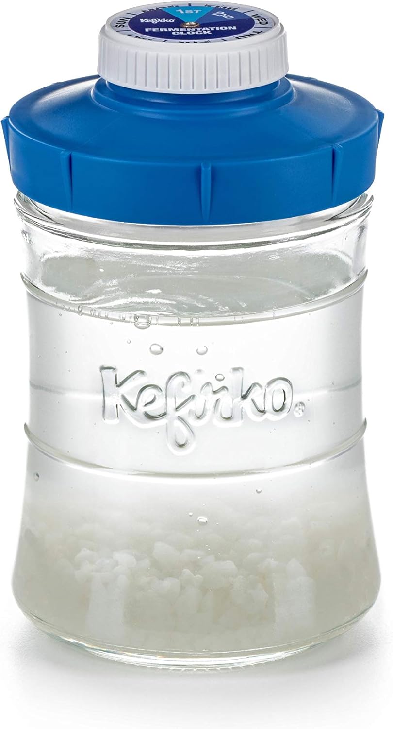 2nd Fermentation Bottle 848ml with Blue Lid for Storing and Drinking