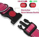 ATETEO Reflective Adjustable Dog Collar with Neoprene Padding 17.7-27.5 in view 4