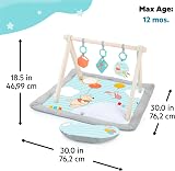 Bright Starts Disney Winnie the Pooh Once Upon a Tummy Time Activity Mat view 6