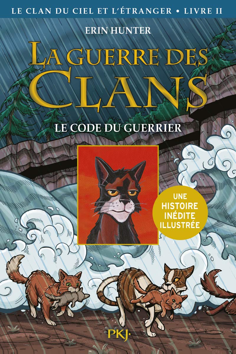 Amazon Fr La Guerre Des Clans Illustree Cycle Iv Tome 2 Le Clan Du Ciel Et L Etranger Le Code Du Guerrier 2 Hunter Erin Carlier Aude Livres