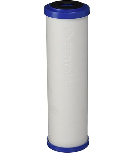 Amazon.com: Pentair Carbon Filter