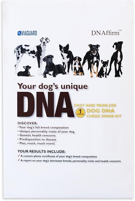 home dna dog test