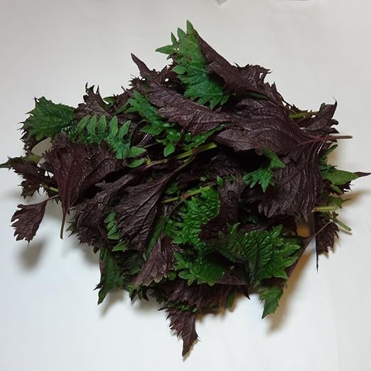 Amazon 芳香うらしそ 赤しそ 梅ぼし漬けや紫蘇ジュース作りに 葉のみ約0ｇ福岡産 伊都野菜 大葉 しそ 通販