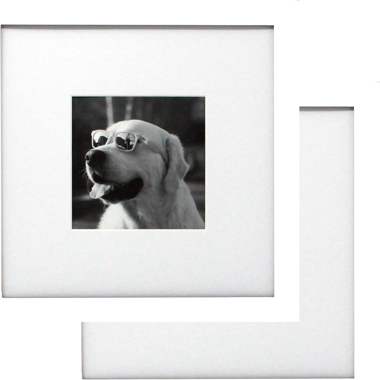 10x10 White Gallery Picture Frame with Mat 2Pack Two