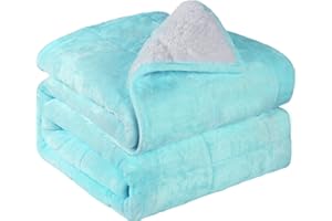 Alomidds Sherpa Fleece Weighted Blanket for Adults(20lbs Queen Size 20lbs 60 x 80 inches) Heavy Blanket with Fluffy Warm Thick Sherpa & Cozy Soft Flannel for Sofa Bed, Aqua