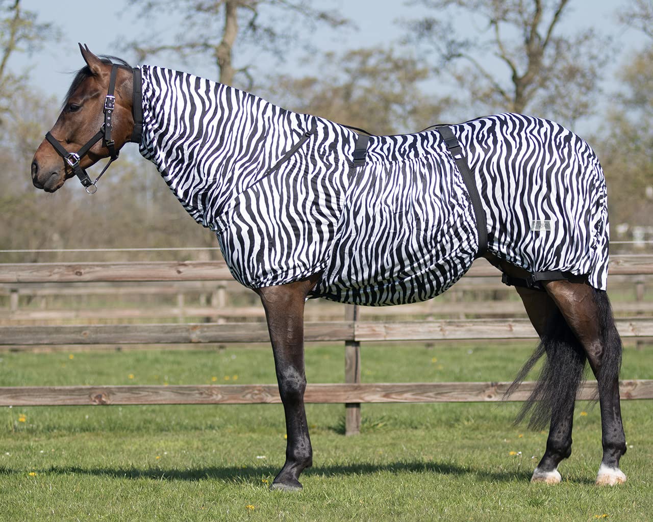 ECZEMA RUG ATTCHED NECK ELASTICATED WIDE BELLY WRAP ZEBRA SIZE 4'9"" TO 7'0" (6'3")