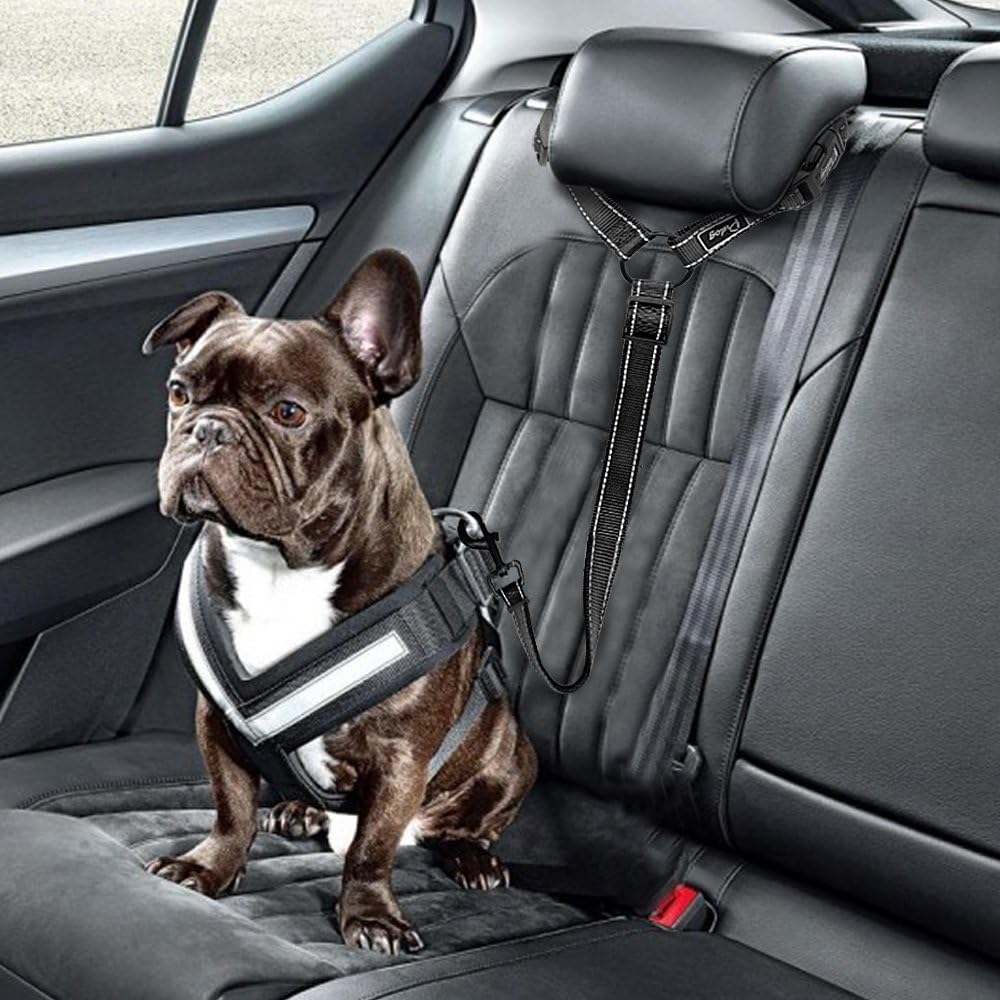 Didog Dog Vehicle Car Seat Belt Harness for Car Travel, Adjustable Dog Leashes Fit Small Medium Large Dogs, Black : Pet Supplies