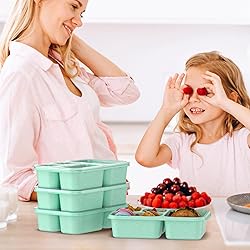 Bento Box for Adults and Snack Containers Set of 4