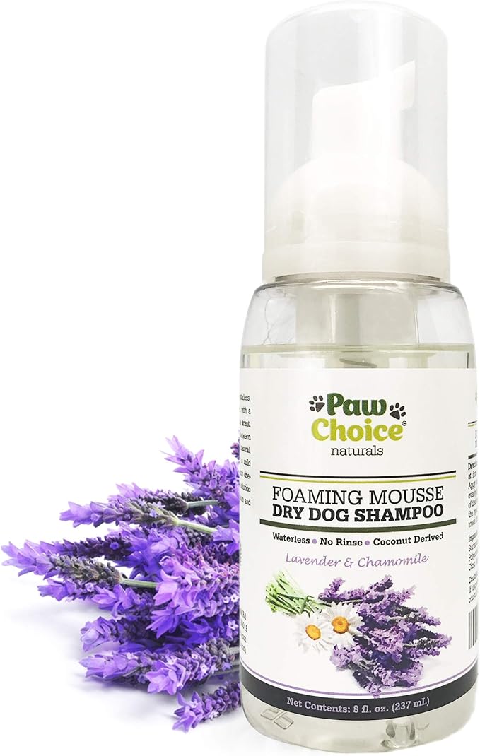foam shampoo for dogs