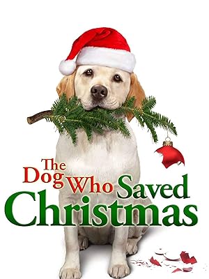 Ein Hund Rettet Die Weihnachtsferien