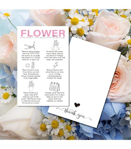 Amazon.com: Succulent Care Instruction Cards with Icons 50pk 2x3.5 Home  Propagated Plants for Sale Client Care How to Water Kit Plant Tags Labels :  Office Products