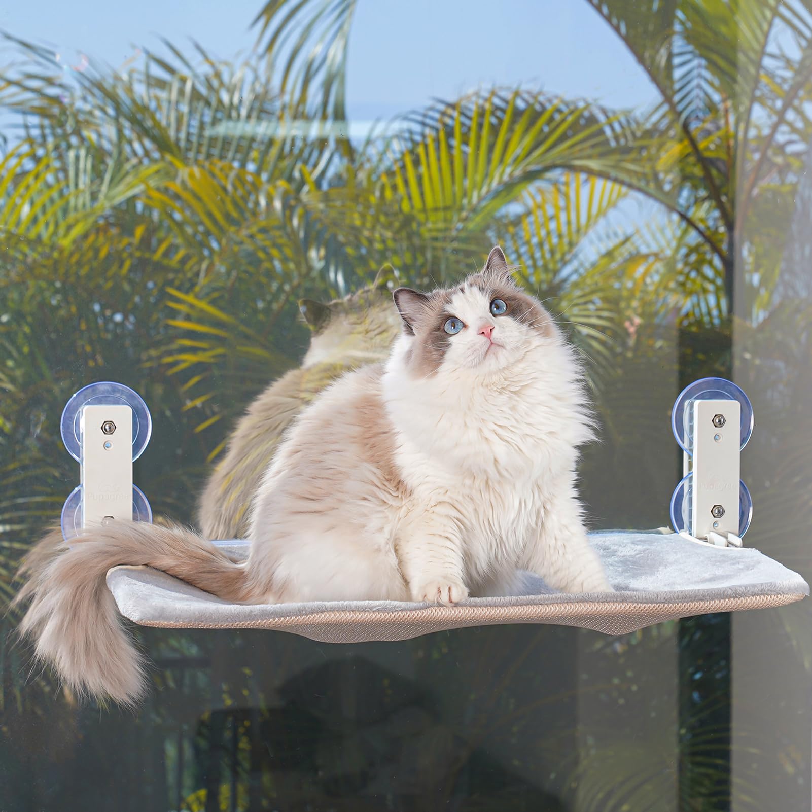 PEFUNY Cordless Folding Cat Window Perch, Cat Hammock for Window and Wall, with 4 Suction Cups, Sturdy Setal Frame for Glass Windows and Interior Walls (Grey Large)