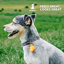 SparklyPets Extra Small Dog Collar with Quick