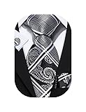 Barry.Wang Formal Ties Black Grey Neckties for Men