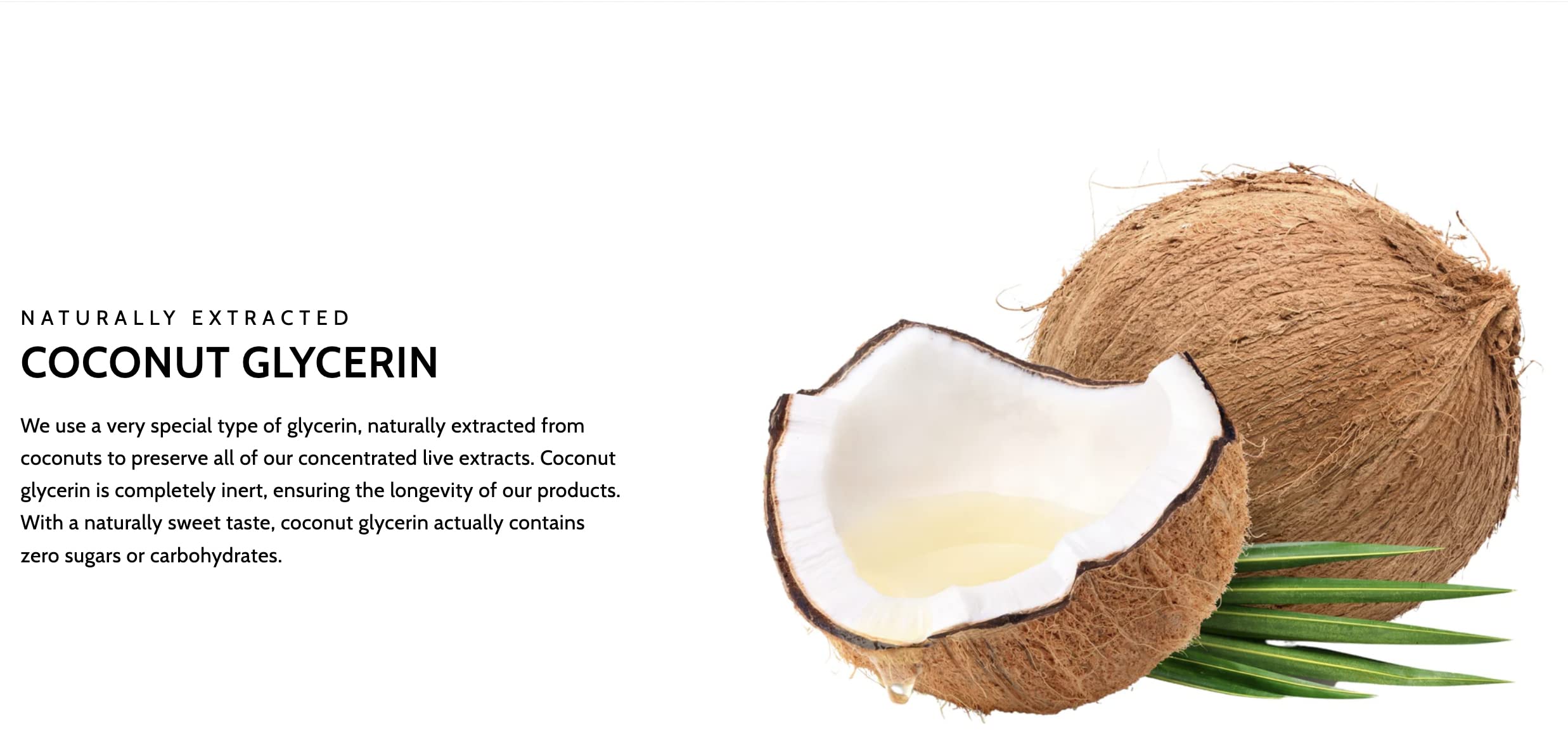 Siberian Ginseng Root Extract - Organic Ingredients & Alcohol Free - 2oz - Patented Cold Fulvic Mineral Water Extracted - Adaptogen - Immune Support for People & Pets