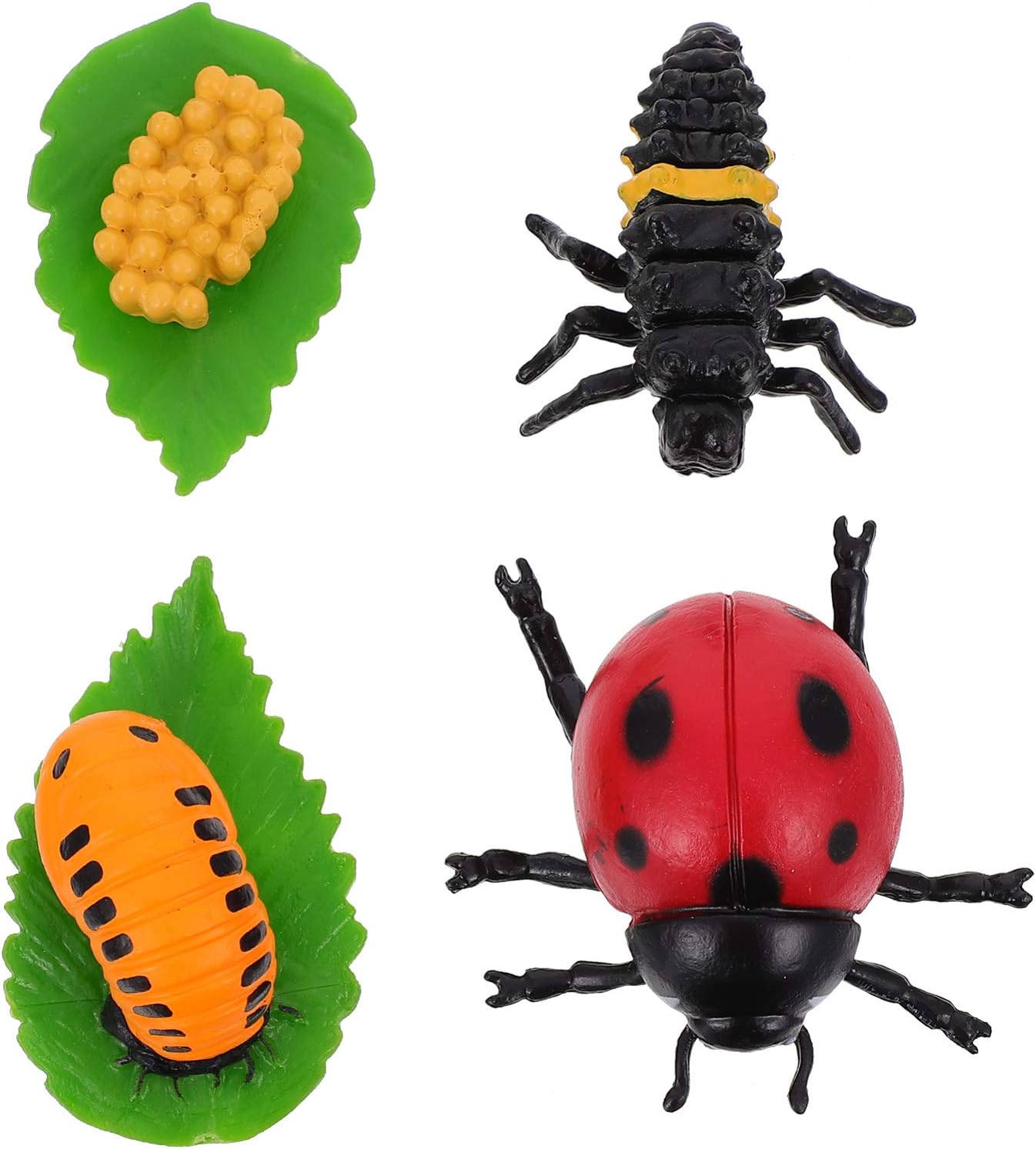 Amazon Yarnow 4個昆虫てんとう虫成長サイクル置物テントウムシライフサイクルモデルショーライフサイクルのかわいいてんとう虫フィギュアおもちゃ学校プロジェクト植木鉢装飾 セット おもちゃ
