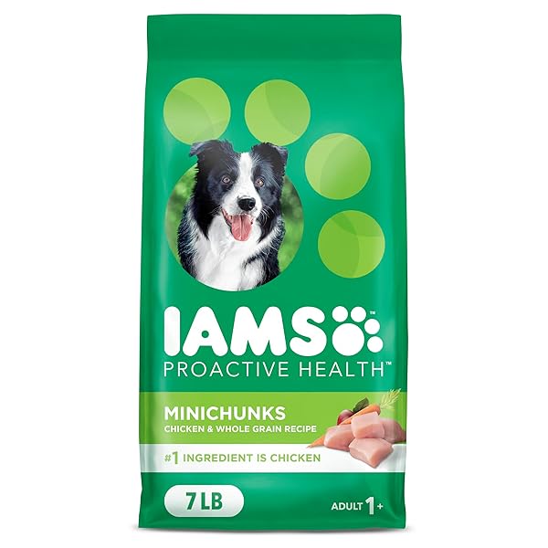 IAMS PROACTIVE HEALTH MINICHUNKS ADULT DRY DOG FOOD WITH REAL CHICKEN, 7 LB. BAG
