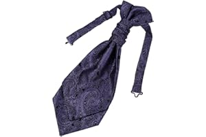 Epoint Cravat Necktie For Party Silk Pretied Ascot Cravat Tie 12 Inch Clip-On Adjustable