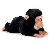 The Petting Zoo Chimp Stuffed Animal Plushie, Gifts for Kids, Earth Keeperz Wildlife Animals, Zoologee Black Chimp Plush Toy, 10 inches