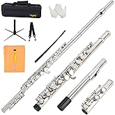VANPHY Closed Hole C Flute 16 Keys Nickel-Plated Flutes For Beginners Student Flute Instrument With Case Stand Gloves Tuning Rod (Silver)