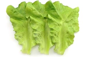Tegg Fake Lettuce Leaf 3PCS Artificial Vegetable Leaf Plastic Faux Lettuce Leaves