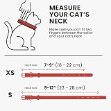 BRONZEDOG Leather Cat Collar with QR Tag Kitten Bell Red Gold 18-22 cm view 7