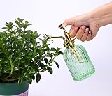 Eidoct Green Glass Spray Bottle 10.5oz Gold Top Plant Mister 7.5in view 5