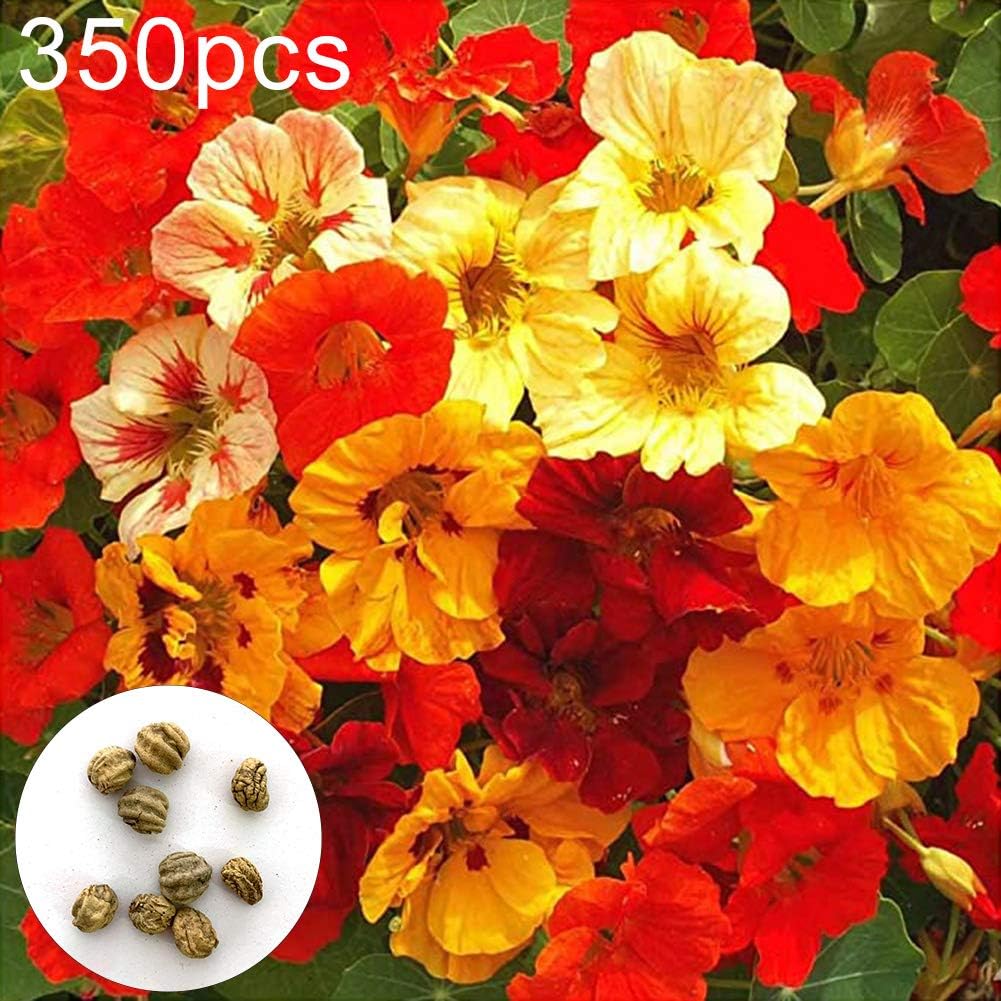 beautijiam 350Pcs Nasturtium Flower Seeds Ornamental Plant Home Garden Balcony Decor for Planting for Indoor and Outdoor