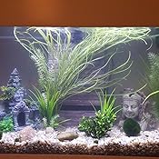 angkor wat aquarium decoration