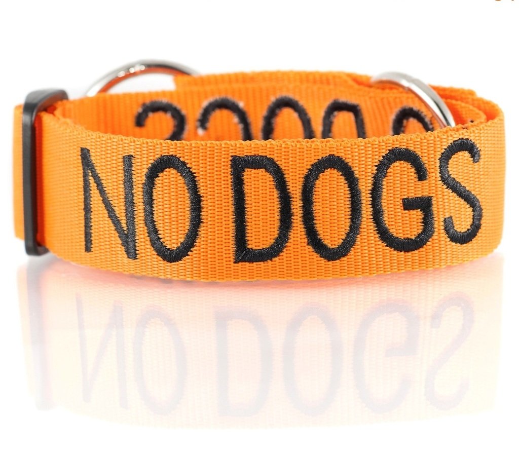 “NO DOGS Orange Coded Nylon Wide Large L-XL Semi-Check Dog Collar (Not Good With Other Dogs) PREVENTS Accidents by Warning Others of Your Dog in Advance!