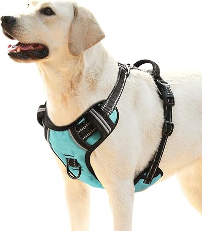 HEELE Dog Harness Padded Handle Reflective 2 Rings Turquoise XL
