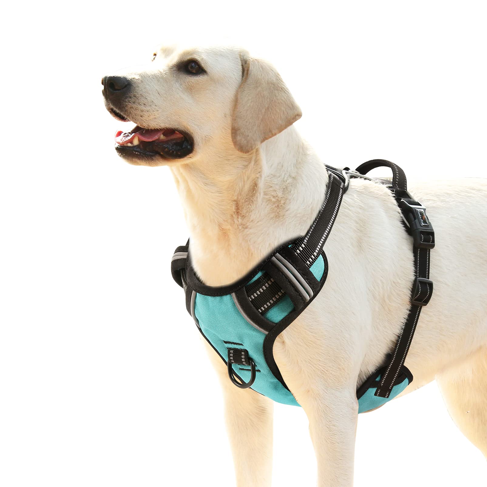HEELE Dog Harness Large No Pull for Large Dog with Handle Reflective Breathable Mesh, Turquoise, L