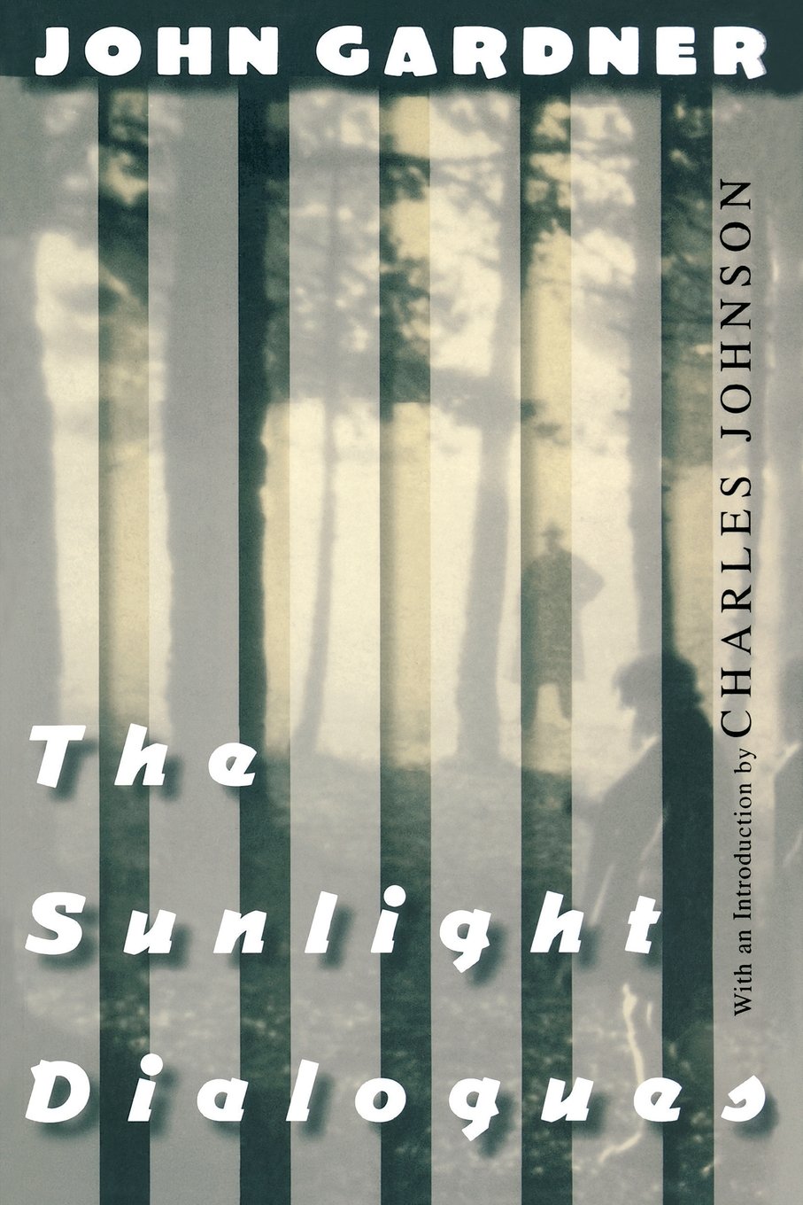 The Sunlight Dialogues New Directions Paperbook Gardner John Johnson Charles 9780811216708 Amazon Com Books
