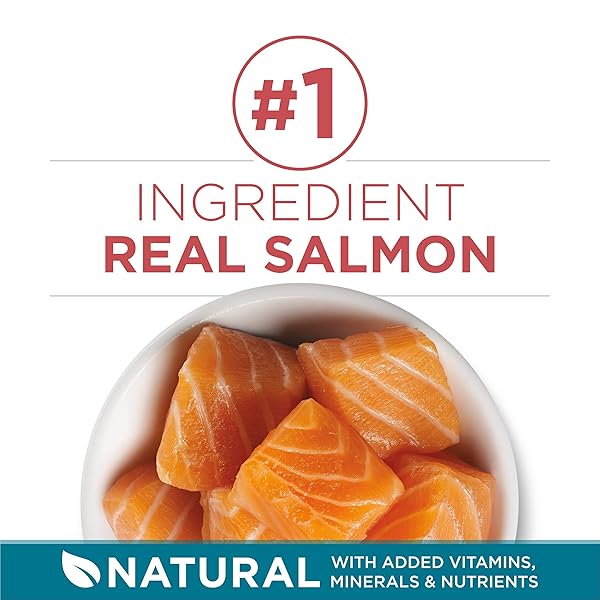 PURINA ONE NATURAL DRY CAT FOOD, TENDER SELECTS BLEND WITH REAL SALMON – 3.5 LB. BAG