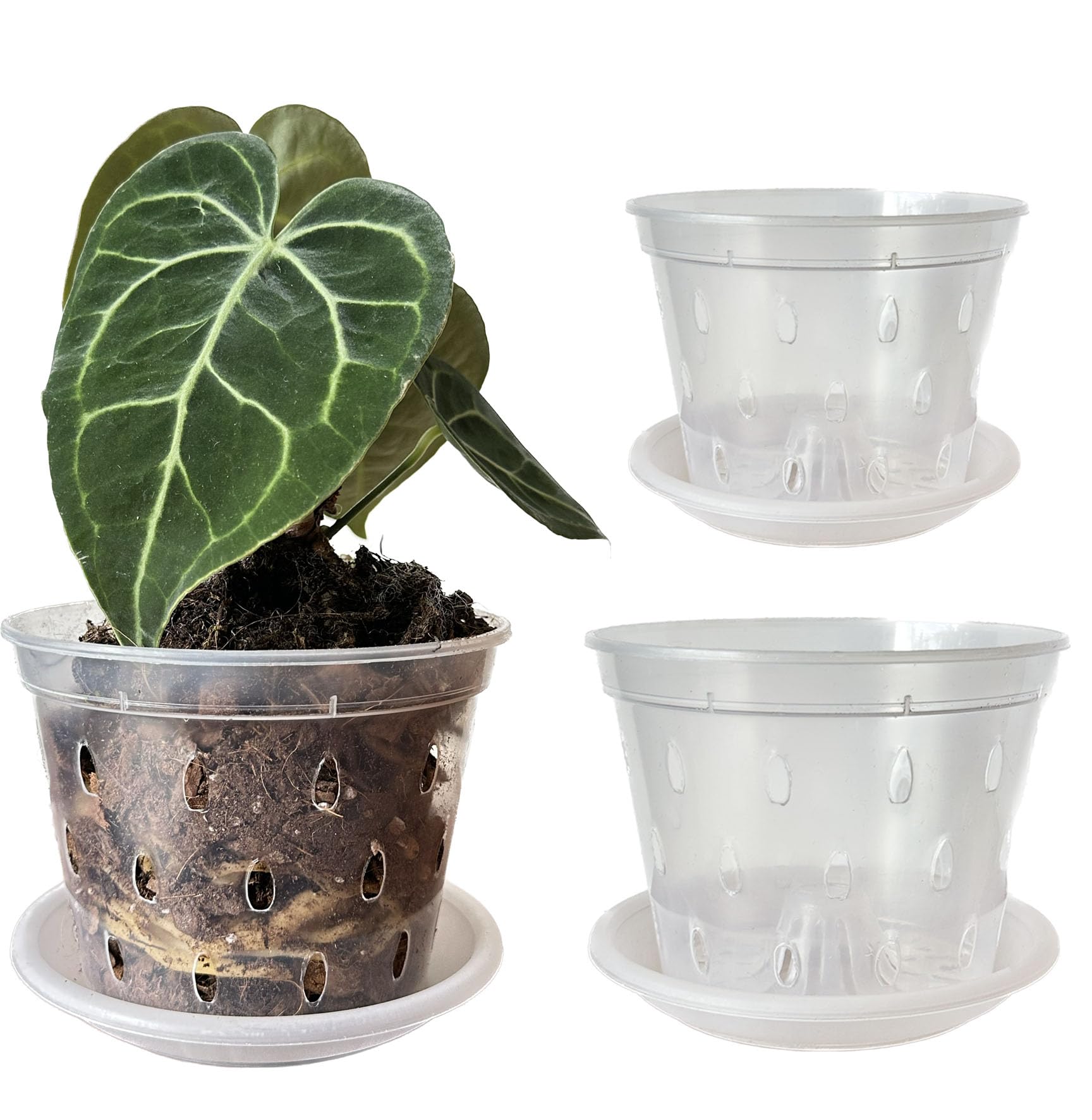 Meboem 11cm 14cm Clear Plants Pots Flower Pots with Holes and Saucers For Tropical plant Orchid Anthurium Clarinervium Monstera (6, 3 each of 11cm,14cm)