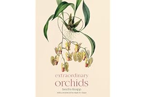 Extraordinary Orchids