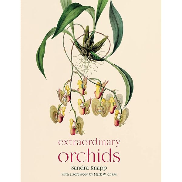 Orchid Species Culture: Dendrobium (Orchard Species Culture