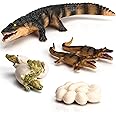 Fantarea 4 PCS Wild Wildlife Animal Figures Creatures Action Models Life Cycle Crocodile Alligator Figure Ornament Cake Toppers Party Favors Supplies Cognitive Toy for Boys Girls Kids